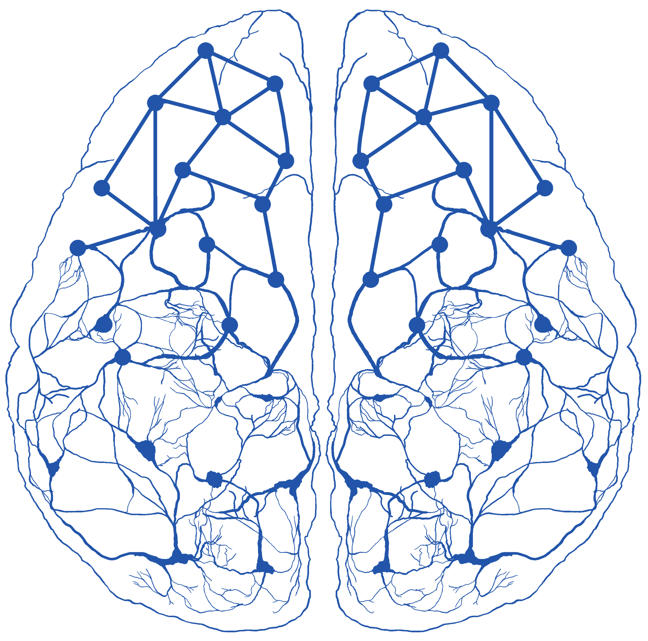 Neuroscience Group